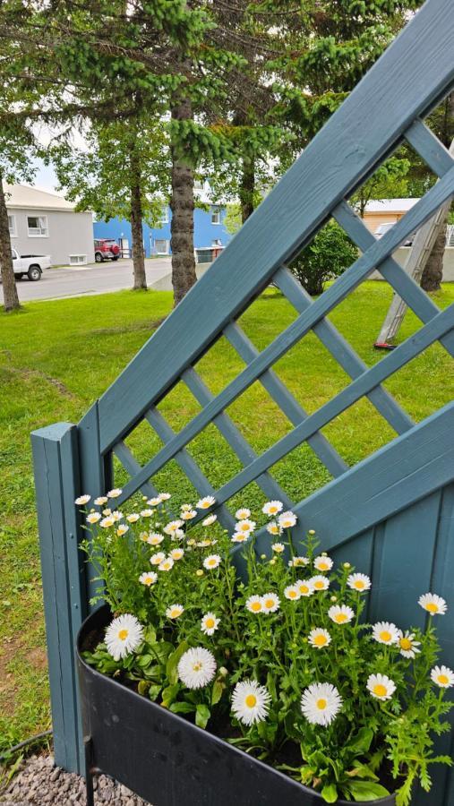 B&B Rooms Husavik 3 Exterior foto